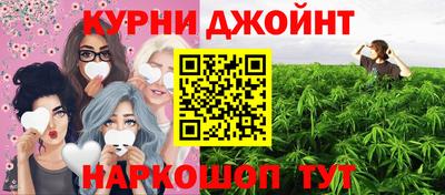 крисы Партизанск