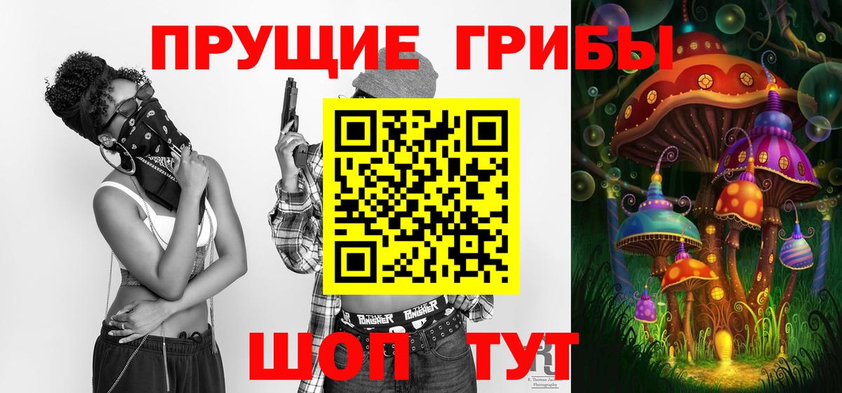 закладка  Псилоцибиновые грибы прущие грибы  Псилоцибиновые грибы ЛСД  Вход с VPN  Тайшет 
